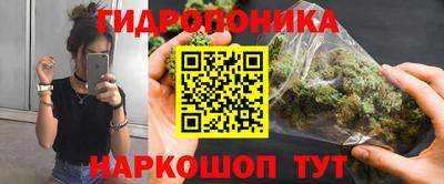 бошки Гусев