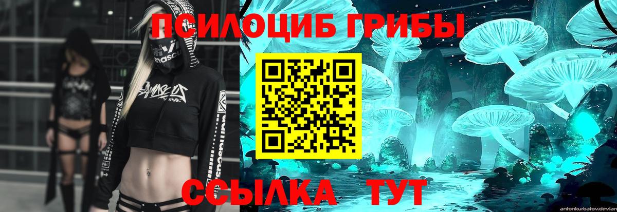 Галлюциногенные грибы Cubensis Зерноград
